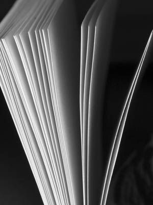 Close-up of fanned open book pages in black and white, showcasing texture and detail, perfect for reading themes.