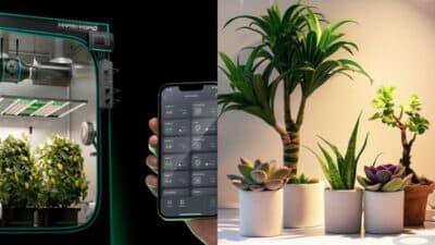 Smart indoor garden setup with smartphone app control next to various potted plants in natural light.