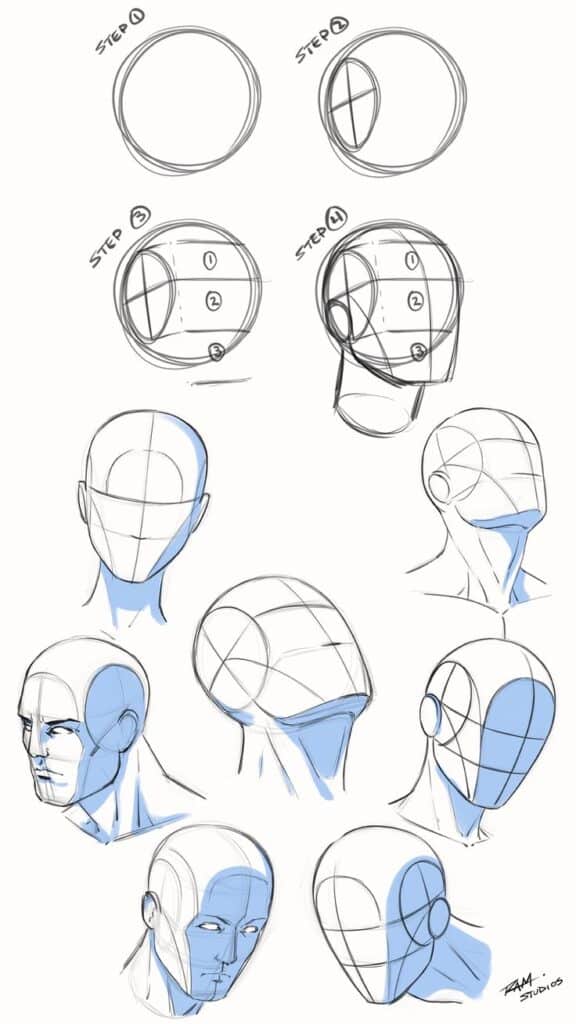 Step-by-step guide on sketching a human head from different angles, featuring guidelines and basic shapes.