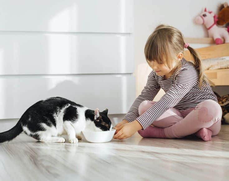 Girl feeding black and white cat in sunny room, sitting on floor beside a bowl.