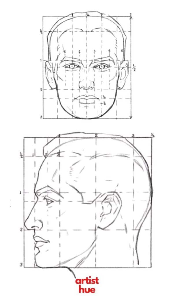 Anatomical face sketch with grid lines; front and side views for drawing reference.
