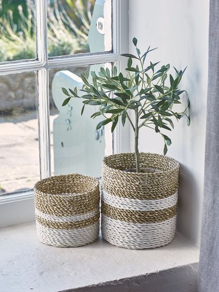 Woven baskets with a small plant by a window, showcasing natural home decor and greenery indoors.