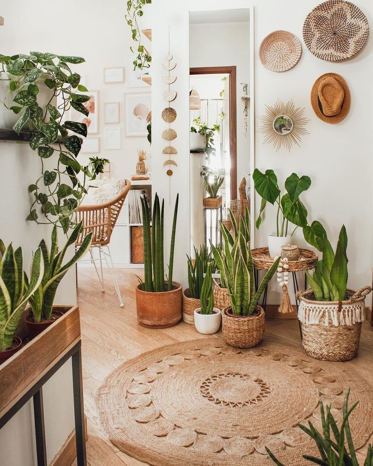 Cozy bohemian living room with indoor plants, wicker decor, and a woven rug creating a warm, natural ambiance.