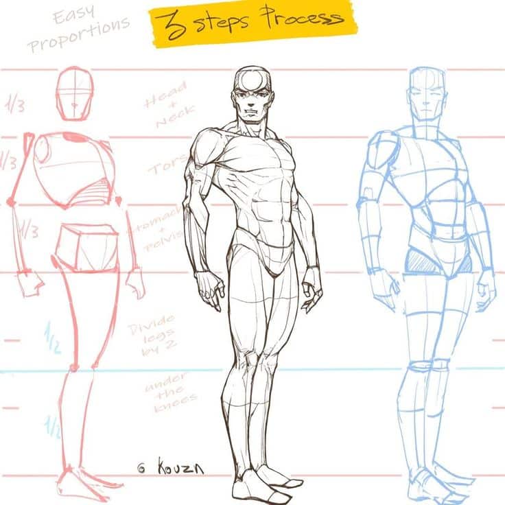 Three-step guide to drawing human body proportions, featuring sketch outlines and detailed anatomical structure.