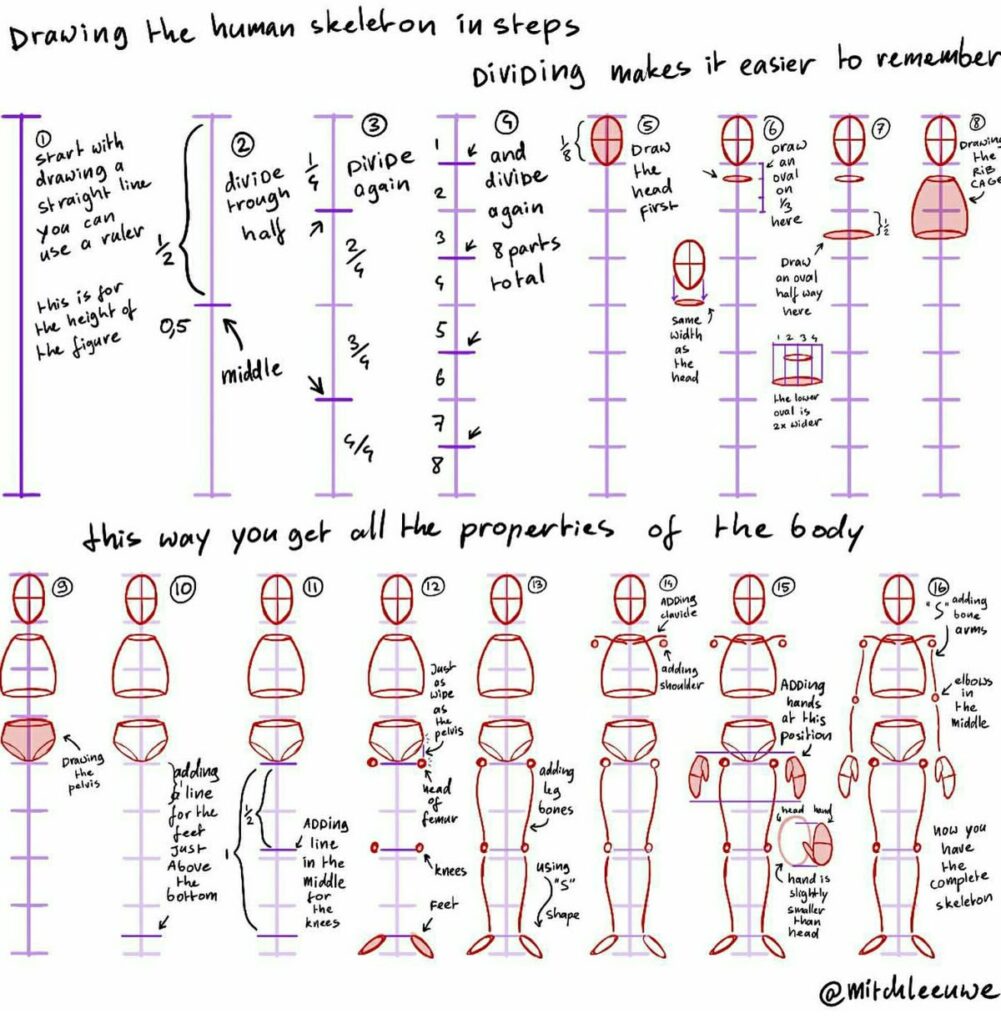 Step-by-step guide on drawing a human skeleton with annotations and visual illustrations for proportions.