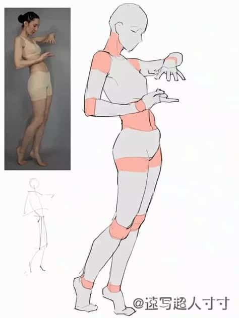 Sketch progression of a female model in pose with reference images and highlighted anatomy sections.