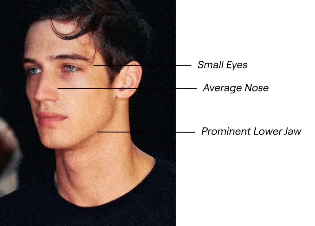 Side portrait of a person with labeled features: small eyes, average nose, prominent lower jaw.