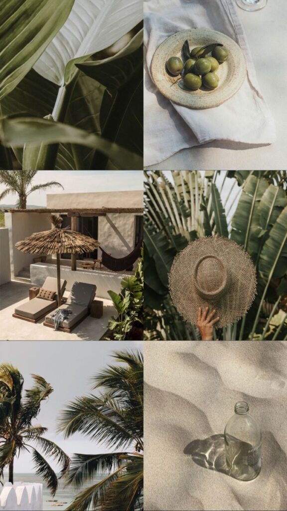 Tropical collage with green plants, beach hat, olives, shaded patio, palm trees, and a glass bottle on sand.