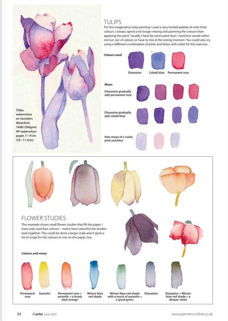 Watercolor tulip and flower studies with color mixes; featuring dioxazine, cobalt blue, permanent rose, aureolin.