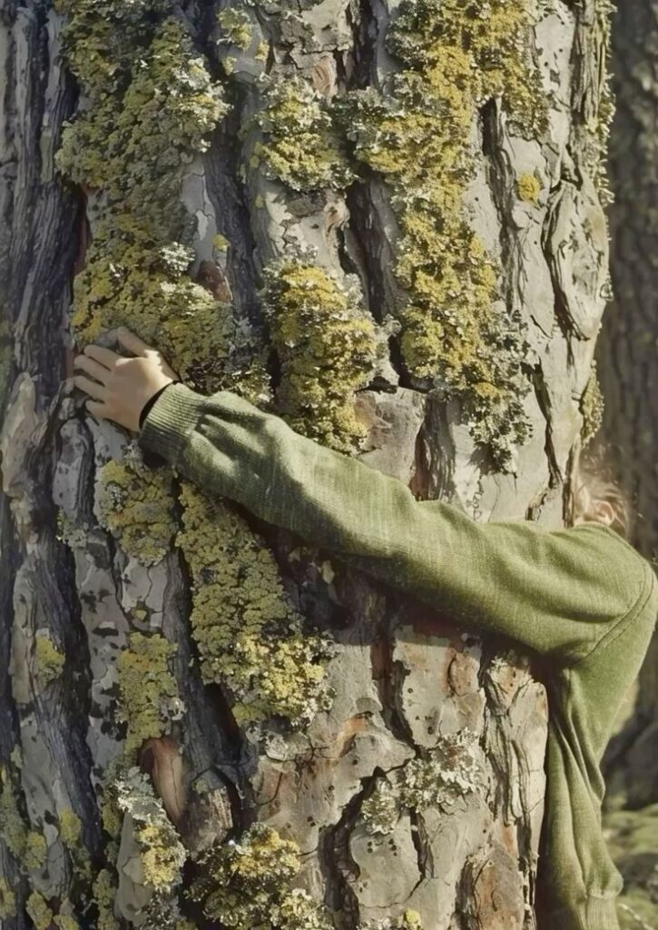 a3cb2c19-b217-42be-adaf-5c2a277725bc Person hugging a mossy tree trunk, wearing a green sweater, showcasing nature connection and environmental awareness. | Sky Rye Design Person hugging a mossy tree trunk, wearing a green sweater, showcasing nature connection and environmental awareness.