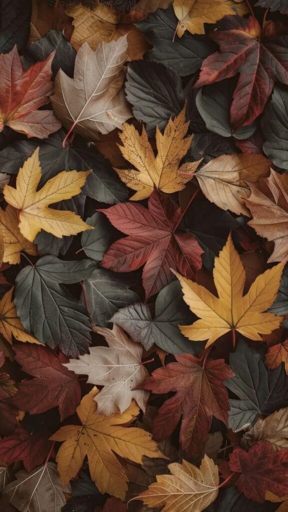 Autumn leaves in shades of red, orange, and brown creating a vibrant fall foliage background.
