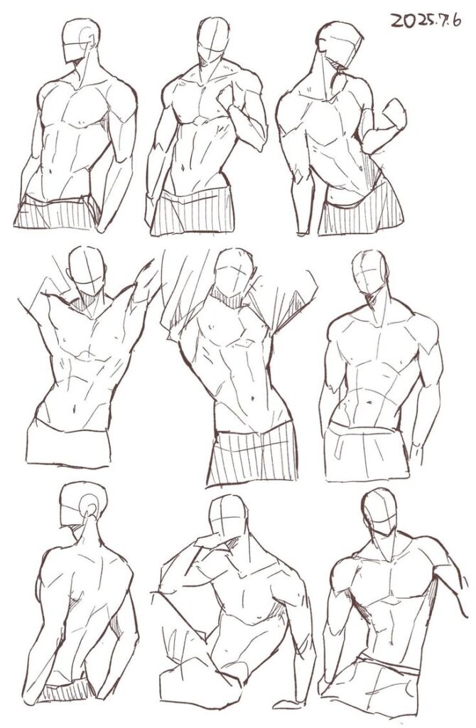 Sketches of male torsos in various poses, highlighting anatomical structure and muscle definition for art reference.