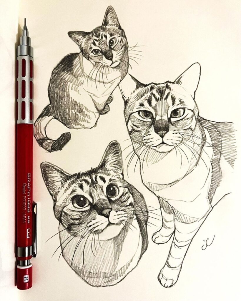 Pencil sketch of three cats with detailed features next to a red mechanical pencil on white paper.