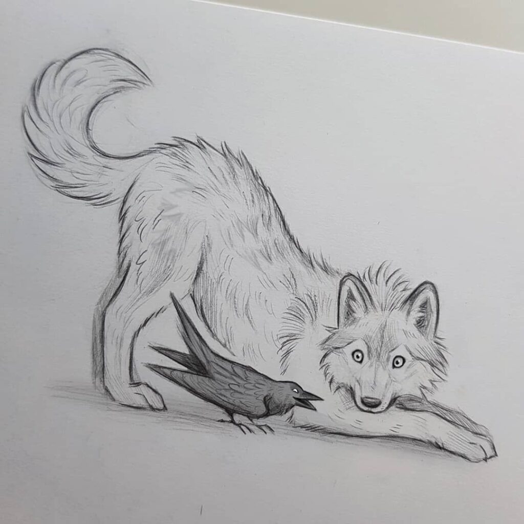 bbefe1d7dec79971e01fd3bccb9225aa Playful wolf laying next to curious crow in detailed pencil drawing. | Sky Rye Design Playful wolf laying next to curious crow in detailed pencil drawing.