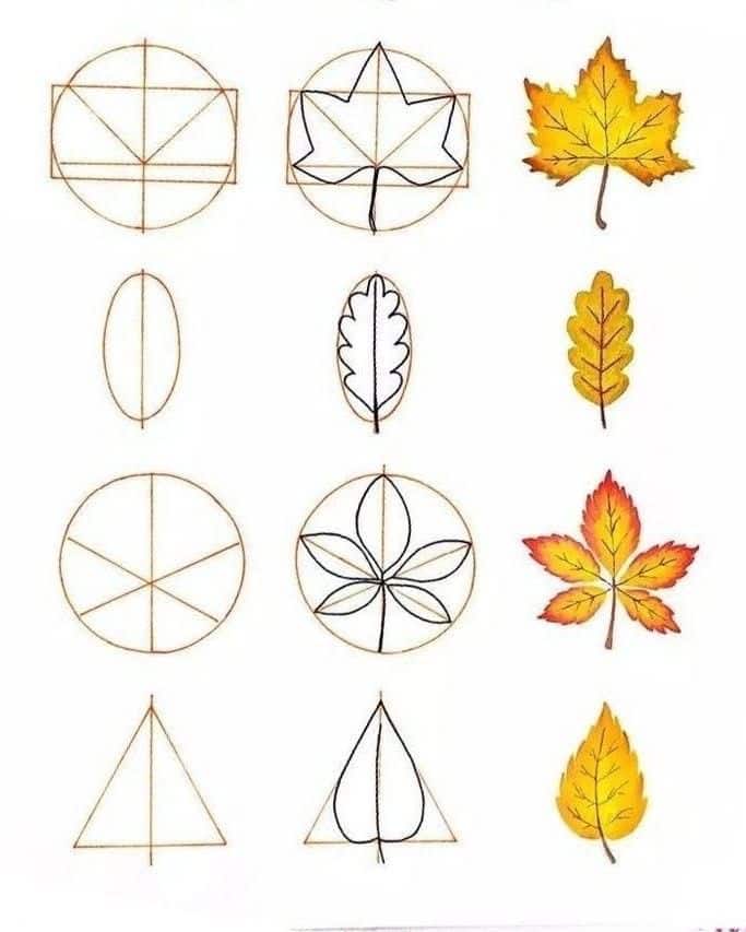 Leaf drawing guides: maple, oak, and elm with geometric outlines transitioning to full-color illustrations.