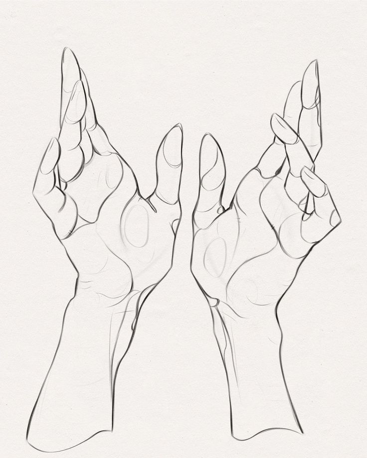 Line drawing of two upward-facing hands with detailed fingers on a white background.