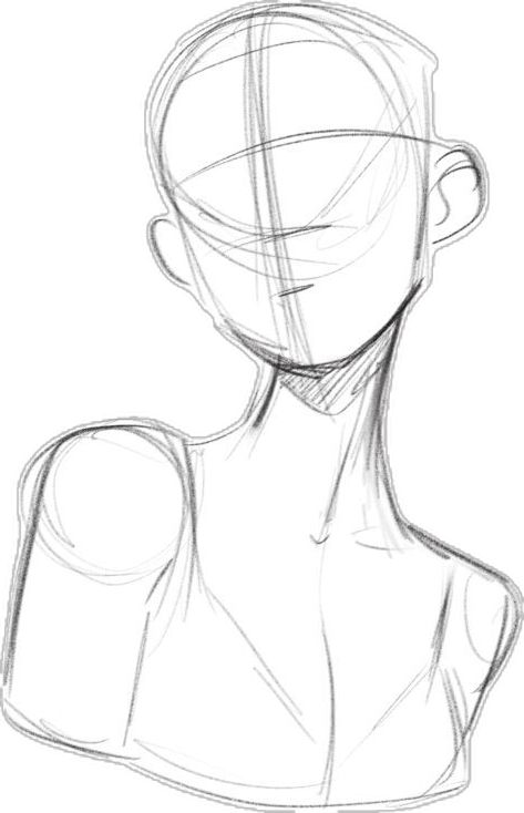 Sketch of a human figure with lines for head and shoulders, showing basic proportions and construction guidelines.