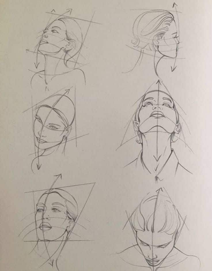d46b4bae-81ae-4486-a27c-58531f4c375a Sketches of female faces in various poses with construction lines for drawing reference. | Sky Rye Design Sketches of female faces in various poses with construction lines for drawing reference.