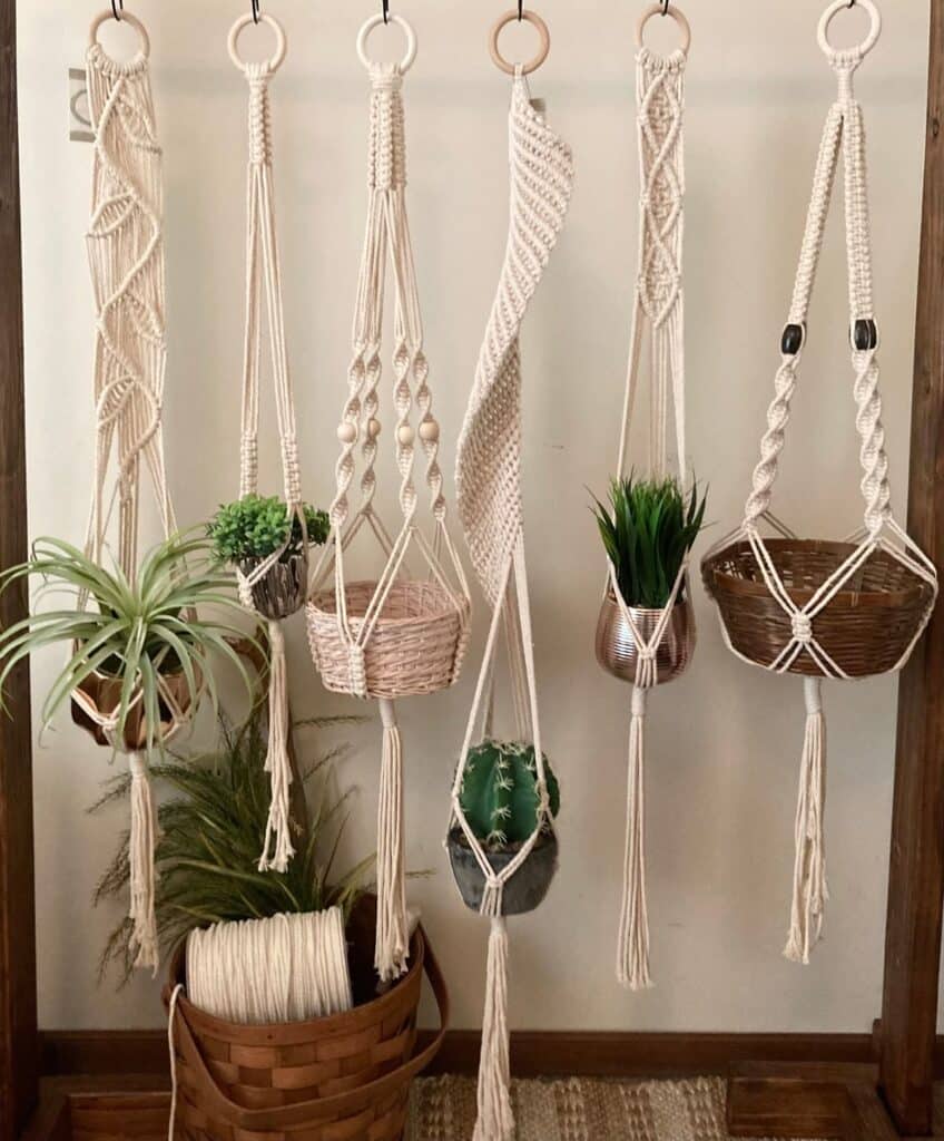 d5ac9cb77e2e048fbb26202b9850a5de Five macramé plant hangers with various plants against a neutral background. | Sky Rye Design Five macramé plant hangers with various plants against a neutral background.
