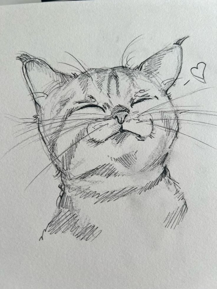 Sketch of a happy cat with a heart symbol, showcasing a joyful expression and closed eyes.