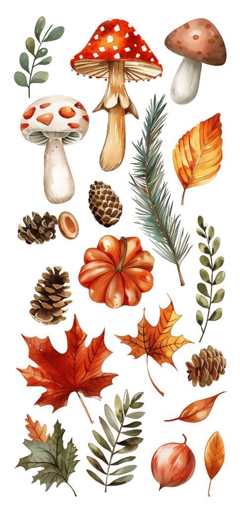 Illustrated autumn elements: mushrooms, pinecones, pumpkin, and colorful leaves on a white background.