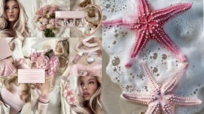 Collage of pink aesthetic items: flowers, starfish, and lifestyle accessories, evoking a soft, serene vibe.