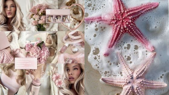 girly wallpapers Collage of pink aesthetic items: flowers, starfish, and lifestyle accessories, evoking a soft, serene vibe. | Sky Rye Design Collage of pink aesthetic items: flowers, starfish, and lifestyle accessories, evoking a soft, serene vibe.