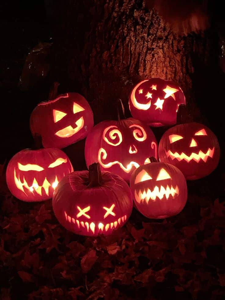Glowing carved pumpkins with spooky faces illuminate the night, perfect for Halloween decorations under a tree.