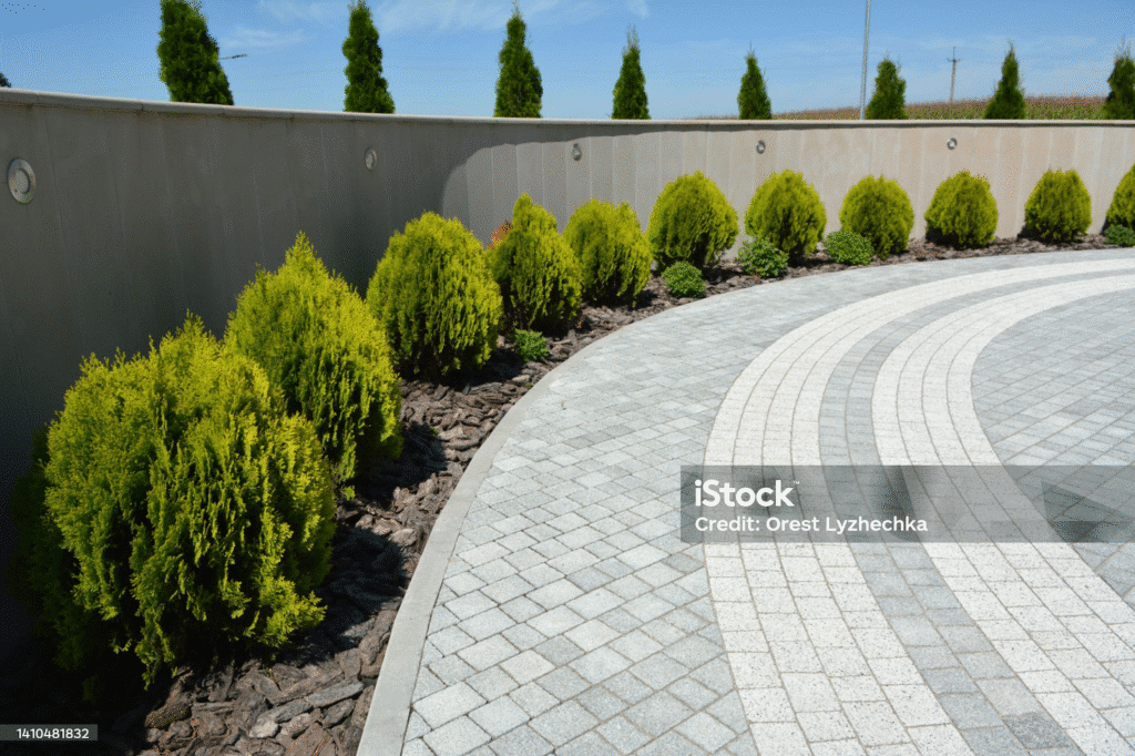 Curved walkway with green shrubs and a gray stone wall under a blue sky.