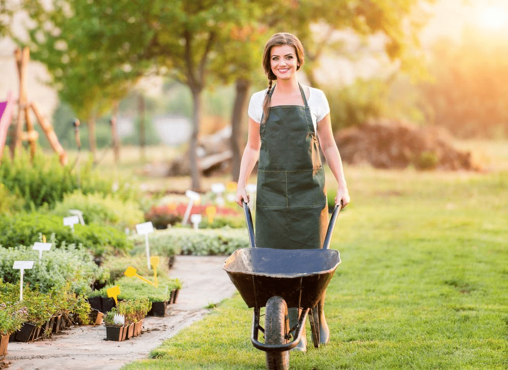 Gardener in apron smiling while pushing a wheelbarrow in a lush plant nursery on a sunny day.