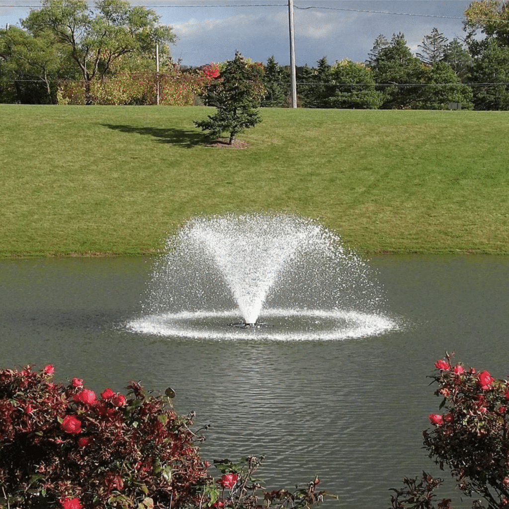 Fountain spraying water in a tranquil park pond with green grass and blooming red roses in the foreground.