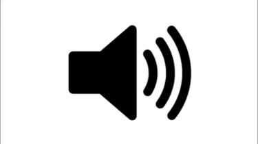 Speaker icon with sound waves, representing audio or volume settings. Ideal for multimedia or sound-related topics.
