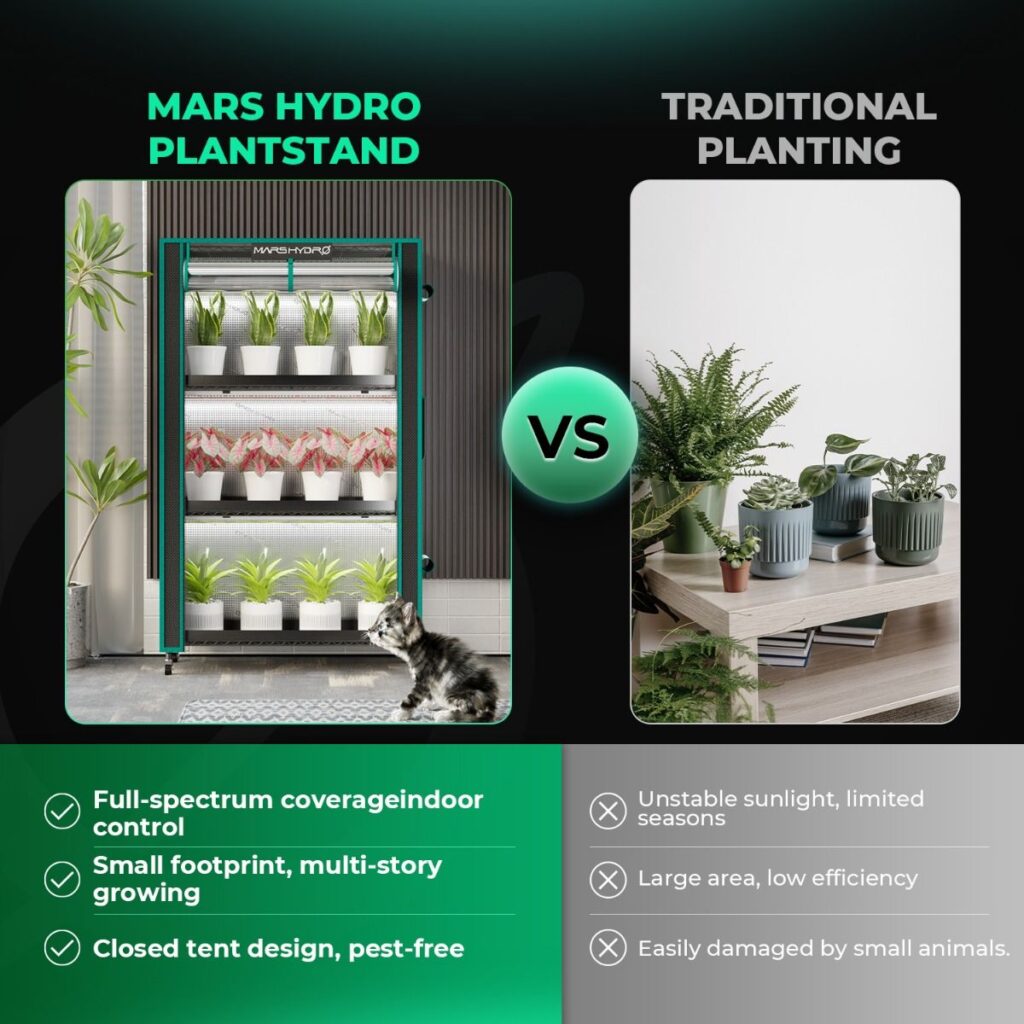Comparison of Mars Hydro Plantstand vs Traditional Planting: Efficiency, space-saving, and protection benefits showcased.