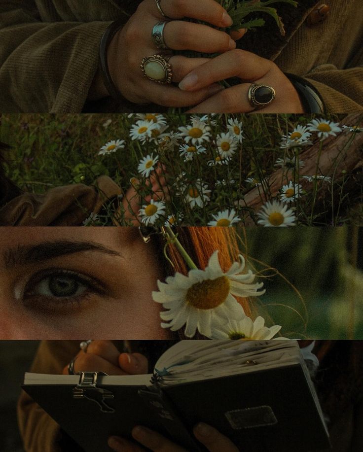 Hands holding wildflowers, person's eye with daisy, reading a notebook outdoors; nature and contemplation theme.