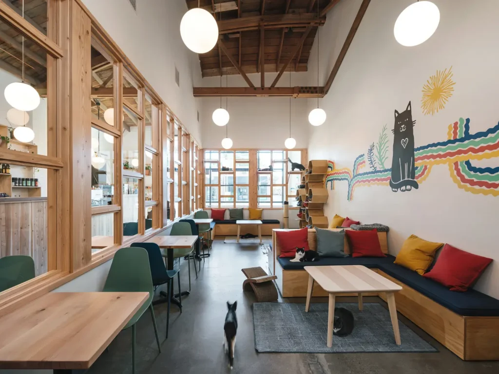pcl_05-scaled-1 Cozy cat café interior with colorful mural, wooden furniture, and cats lounging on cushions. Bright and inviting space. | Sky Rye Design Cozy cat café interior with colorful mural, wooden furniture, and cats lounging on cushions. Bright and inviting space.