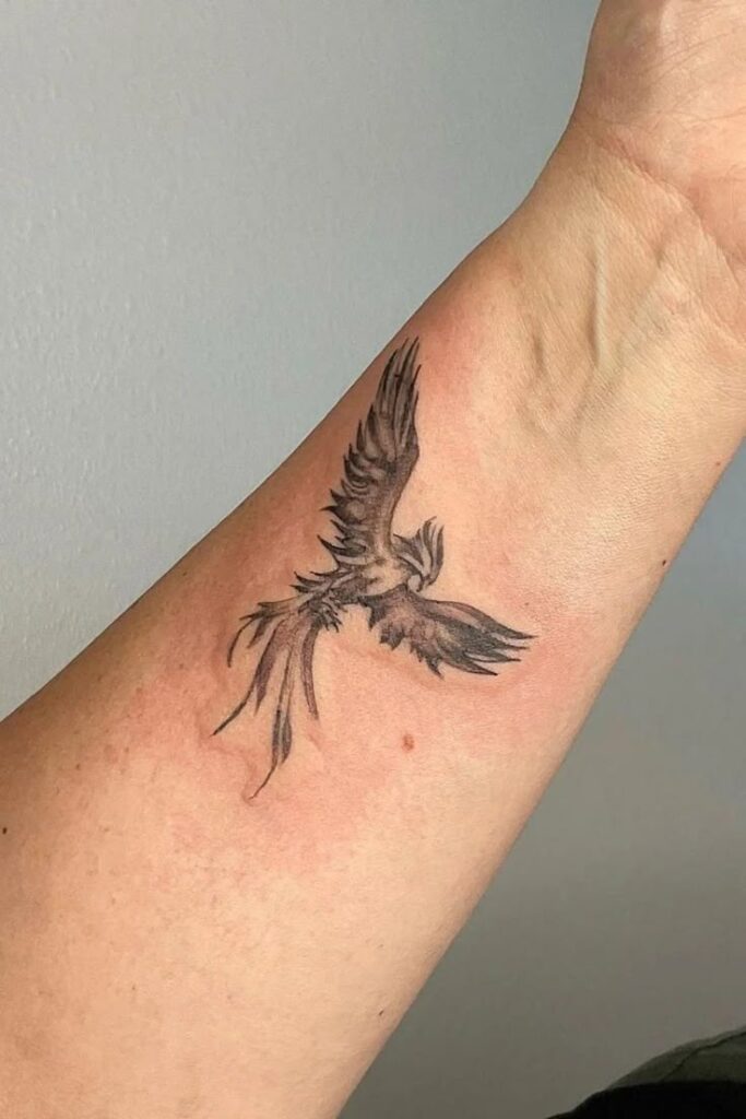 Phoenix tattoo on forearm, symbolizing rebirth and renewal, detailed in black ink with outspread wings. phoenix tattoo