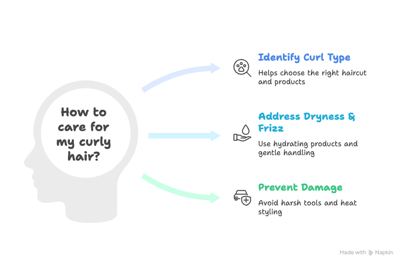 Infographic on curly hair care: Identify curl type, address dryness/frizz, and prevent damage for healthy, manageable curls.