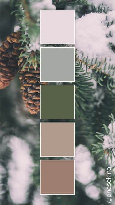 winter colour palette Winter color palette with pinecones and snow-covered branches. Five shades ranging from pink to brown and green. | Sky Rye Design Winter color palette with pinecones and snow-covered branches. Five shades ranging from pink to brown and green.