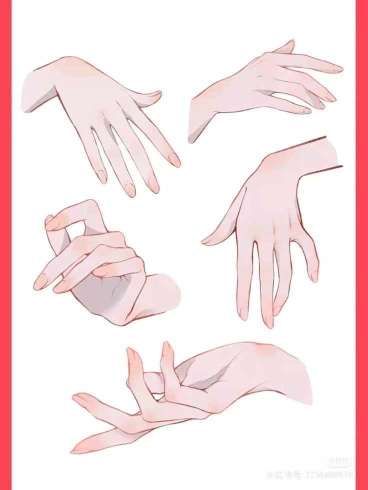 Illustrated hand poses with various gestures, showcasing delicate lines and shading on a white background with red borders.
