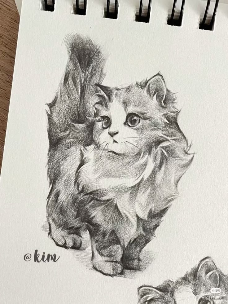 Pencil sketch of a fluffy kitten with a raised tail on a sketchpad, showcasing detailed fur and expressive eyes.