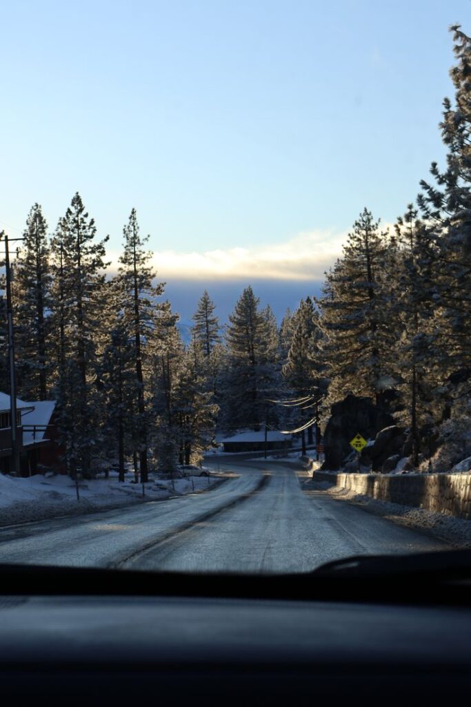 056f935a-498a-469a-80c6-ce2509dab574 Winter road through snowy pine forest at sunrise, capturing serene natural beauty. | Sky Rye Design Winter road through snowy pine forest at sunrise, capturing serene natural beauty.