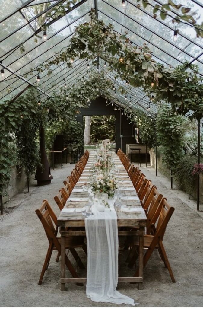Rustic outdoor wedding table setup under a vine-covered canopy with elegant decor and string lights.