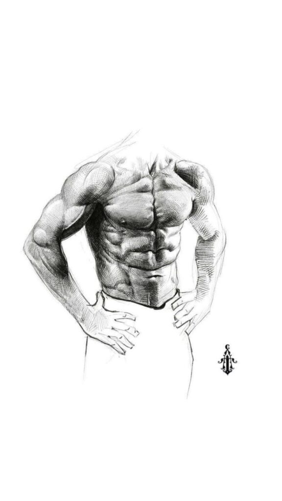 Pencil sketch of a muscular male torso, showcasing defined abs and arms, with hands on hips in a confident pose.