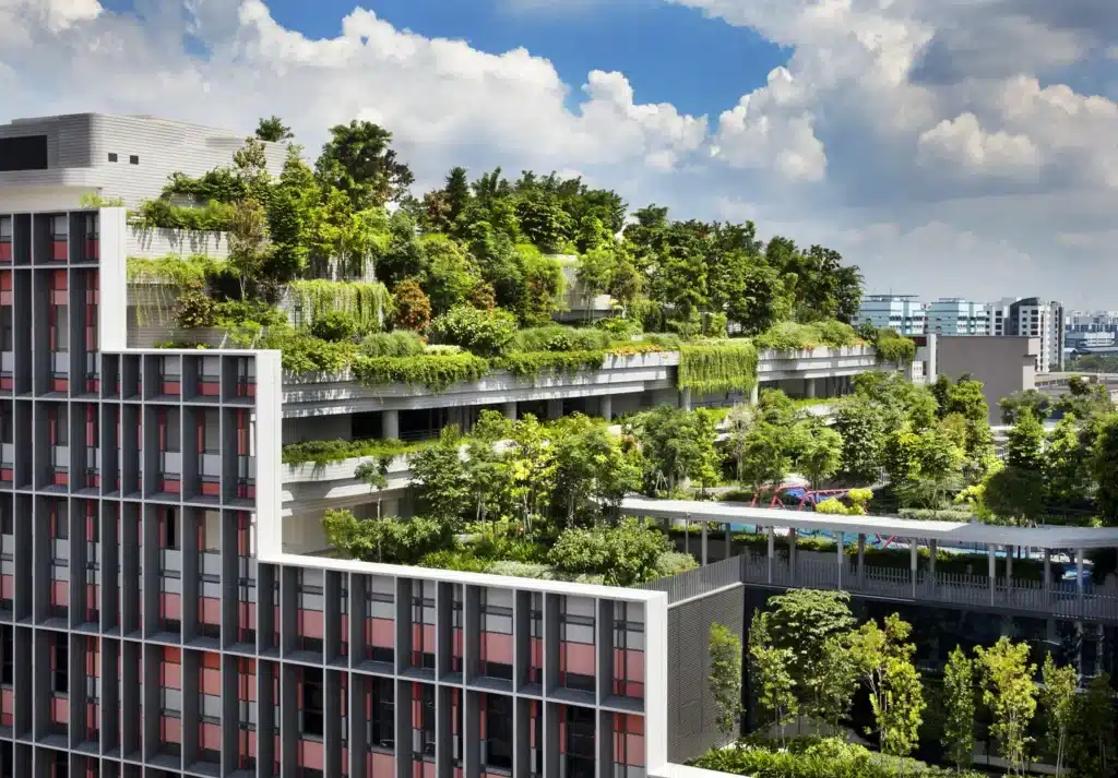 152b2e5f1180c6a6cf0cd1da0f6bb4c5d0f129a3 Green urban rooftop gardens on modern buildings under a cloudy blue sky. Sustainable architecture concept. | Sky Rye Design Green urban rooftop gardens on modern buildings under a cloudy blue sky. Sustainable architecture concept.