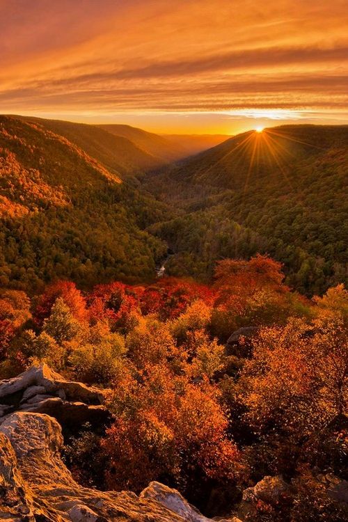 1639a6a5-d77a-4767-bbb2-a2821eb15aa6 Stunning sunrise over a vibrant autumn valley, showcasing colorful trees and mountainous landscape. | Sky Rye Design Stunning sunrise over a vibrant autumn valley, showcasing colorful trees and mountainous landscape.