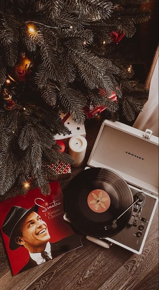_ 17 Record player with holiday album under a Christmas tree, featuring vinyl and festive decorations. | Sky Rye Design Record player with holiday album under a Christmas tree, featuring vinyl and festive decorations.