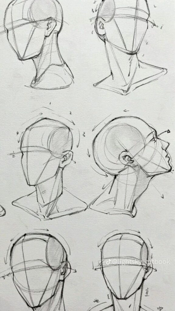 Sketches showing different angles of human head in proportions, useful for anatomy drawing practice.