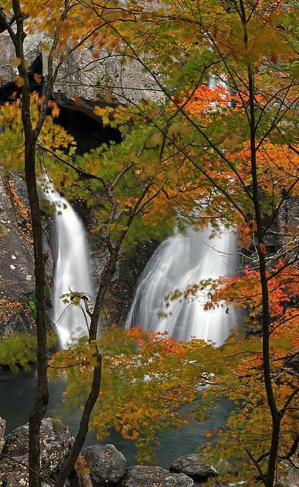 _ 29 Waterfall cascading behind colorful autumn leaves and trees, creating a serene and picturesque nature scene. | Sky Rye Design Waterfall cascading behind colorful autumn leaves and trees, creating a serene and picturesque nature scene.