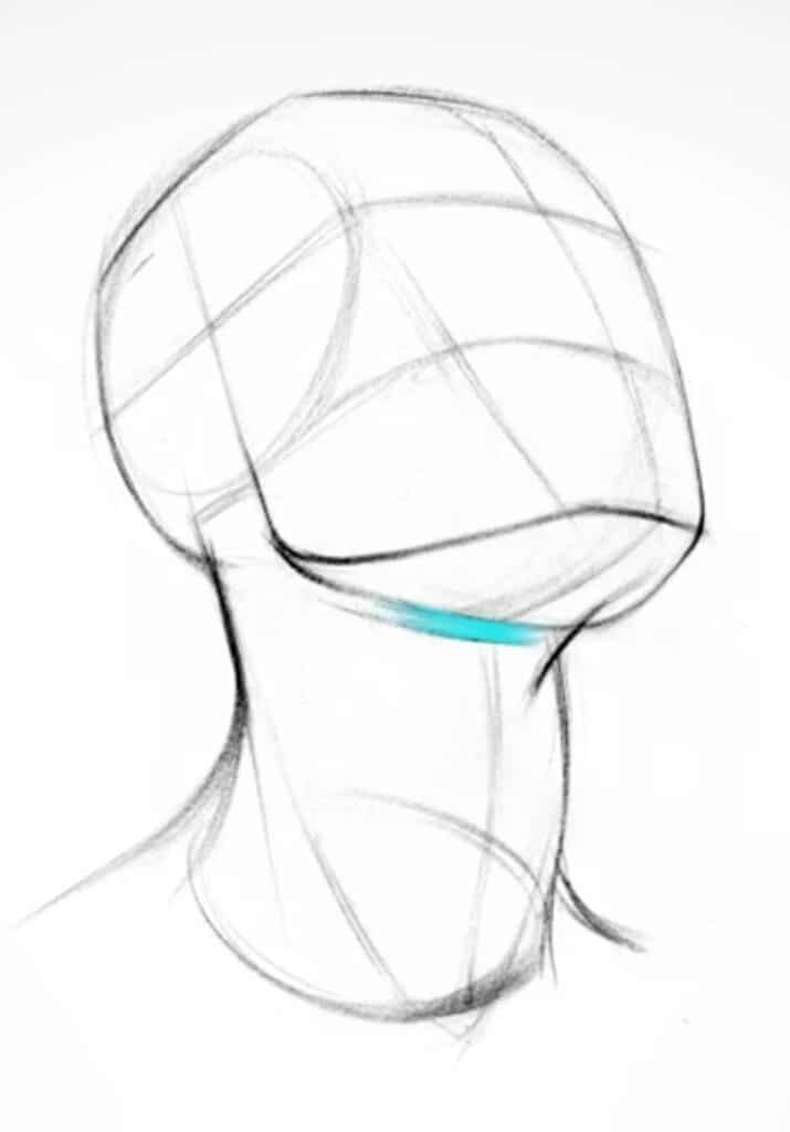 Sketch of a human head in profile with construction lines, highlighting neck area in blue.