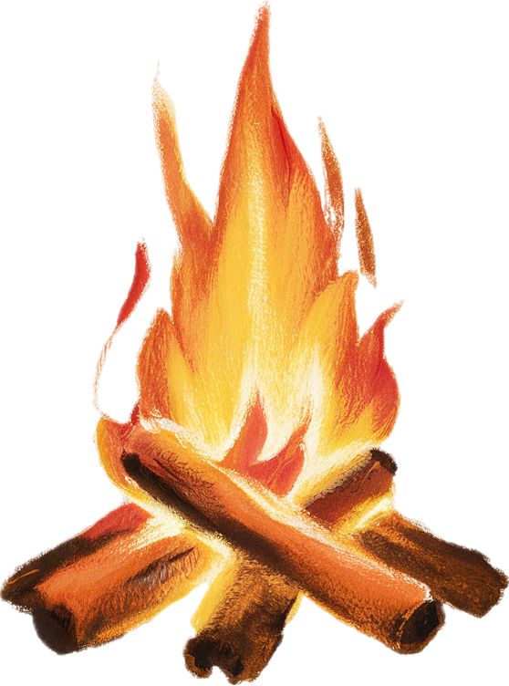 Illustration of a campfire with bright orange and yellow flames rising from wooden logs, isolated on white background.